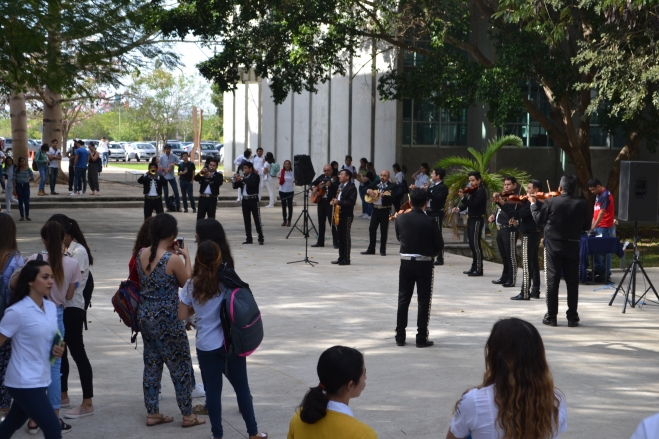 la-musica-en-los-jueves-culturales