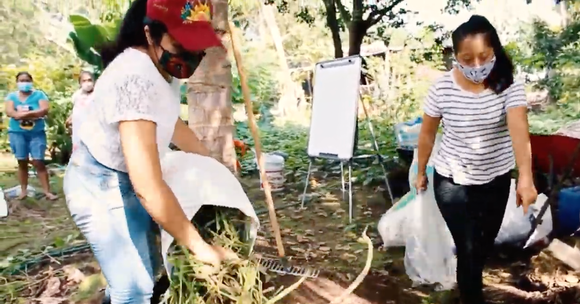 rescate-de-alimentos-tradicionales-para-el-consumo-local